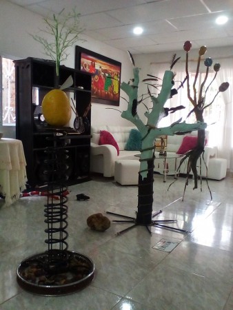 Exposicion de Arboles